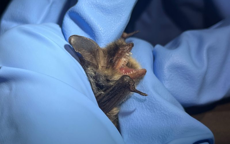 IMG_5823 - aangepast